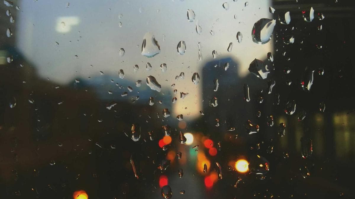 პირველი სიახლე
